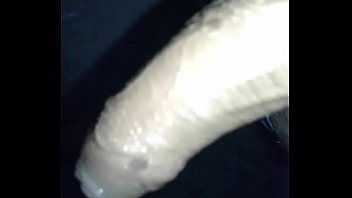can you suck my cock dick and get.