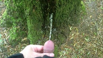 man pissing on a tree
